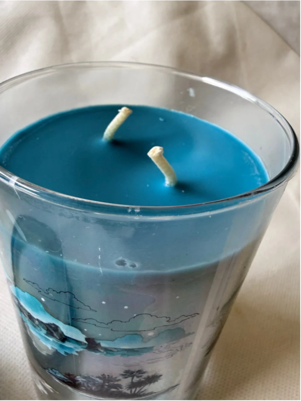 NEW Yankee Candle Large Jar Candle 20 oz Double Wick - 2 Wick Decorative
